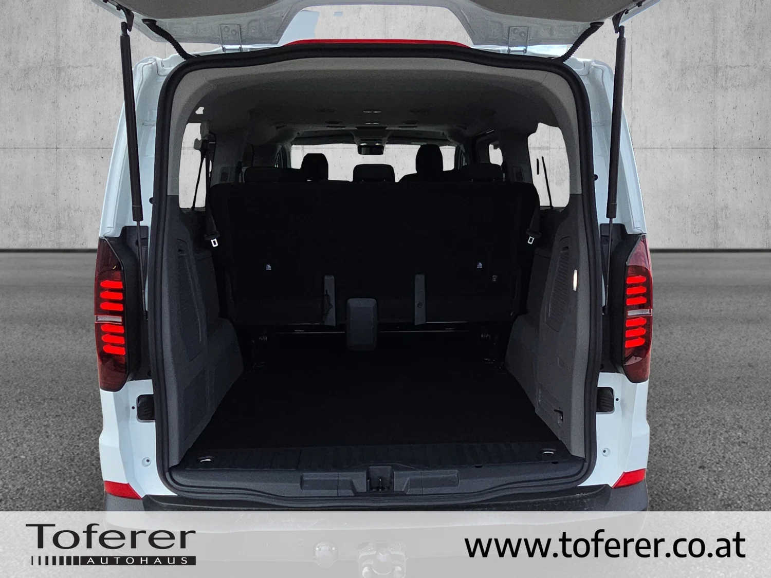 Bild eines VW Kombi Caravelle LR TDI