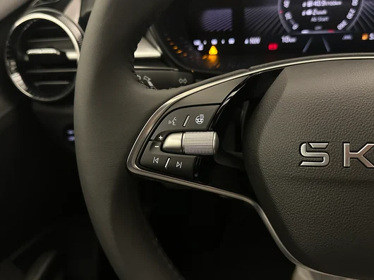 Bild eines Škoda Fabia Selection TSI