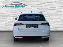 Škoda Octavia Combi Essence TSI in Alaska-Weiß