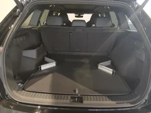 Škoda Kodiaq RS 4x4 TSI DSG in Black-Magic Perleffekt