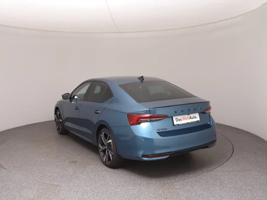 Bild eines Škoda Octavia Sportline TDI DSG