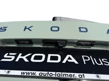 Škoda Fabia Selection TSI DSG in Timiano-Grün