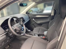 Škoda Karoq 4x4 Selection TDI DSG in Stahl-Grau