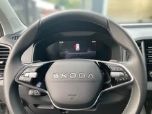 Škoda Karoq 4x4 Selection TDI DSG in Stahl-Grau