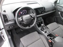 Škoda Karoq 4x4 Selection TDI DSG in Moon-Weiß Metallic