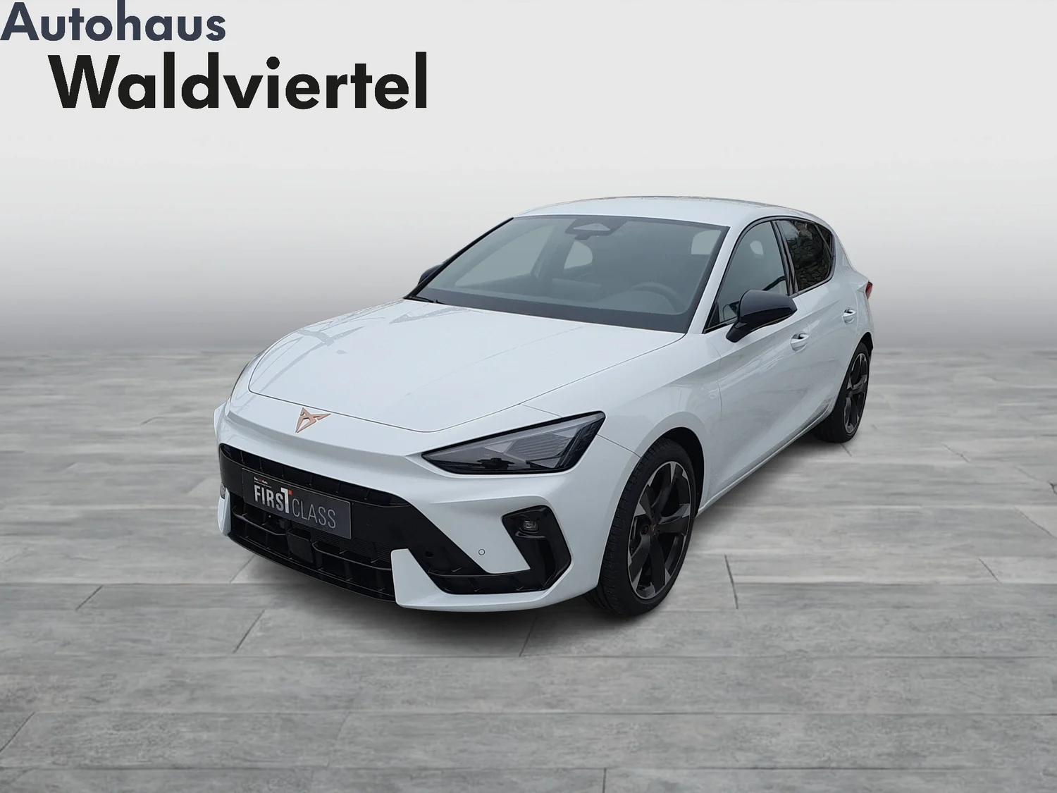 Bild eines Leon 1.5 TSI