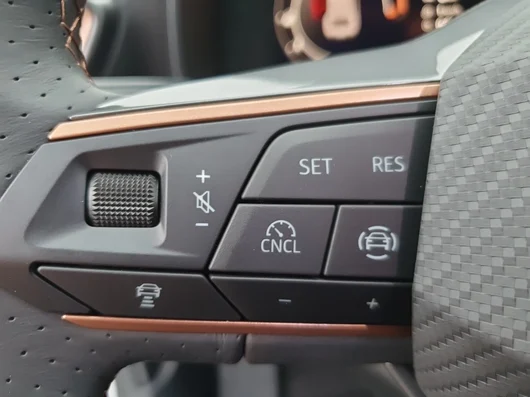 Bild eines Leon 1.5 TSI