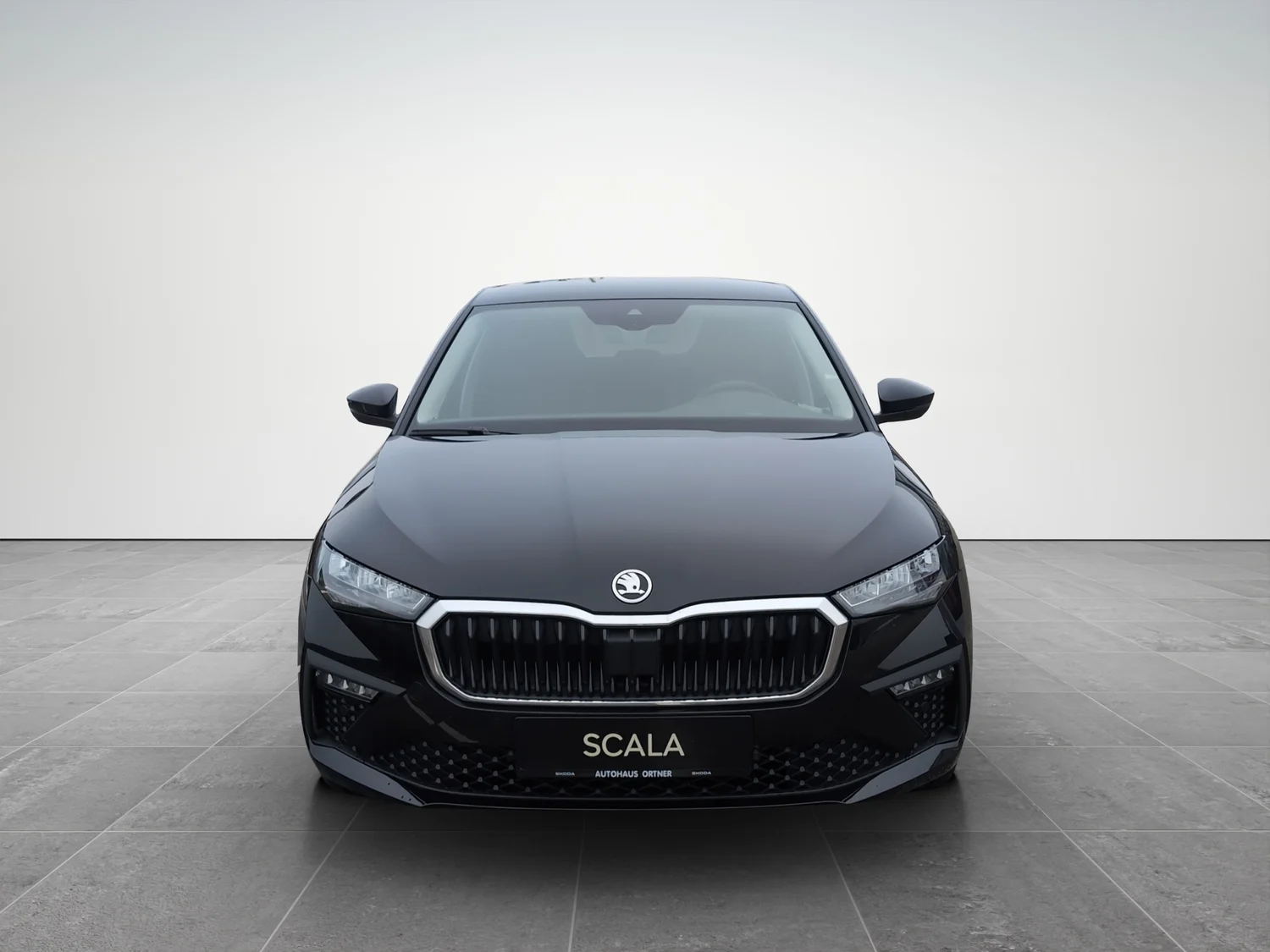 Bild eines Scala Selection TSI