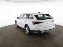 Škoda Octavia Combi 4x4 SCOUT TDI DSG in CANDY-WEISS