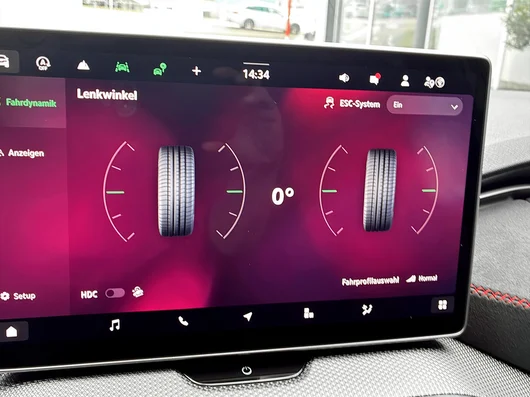 Bild eines Škoda Kodiaq RS 4x4 TSI DSG
