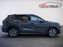 VW Tiguan Friends TDI 4MOTION DSG in Delfingrau Metallic