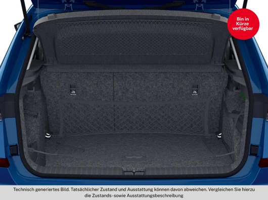 Bild eines Škoda Kamiq Selection TSI DSG