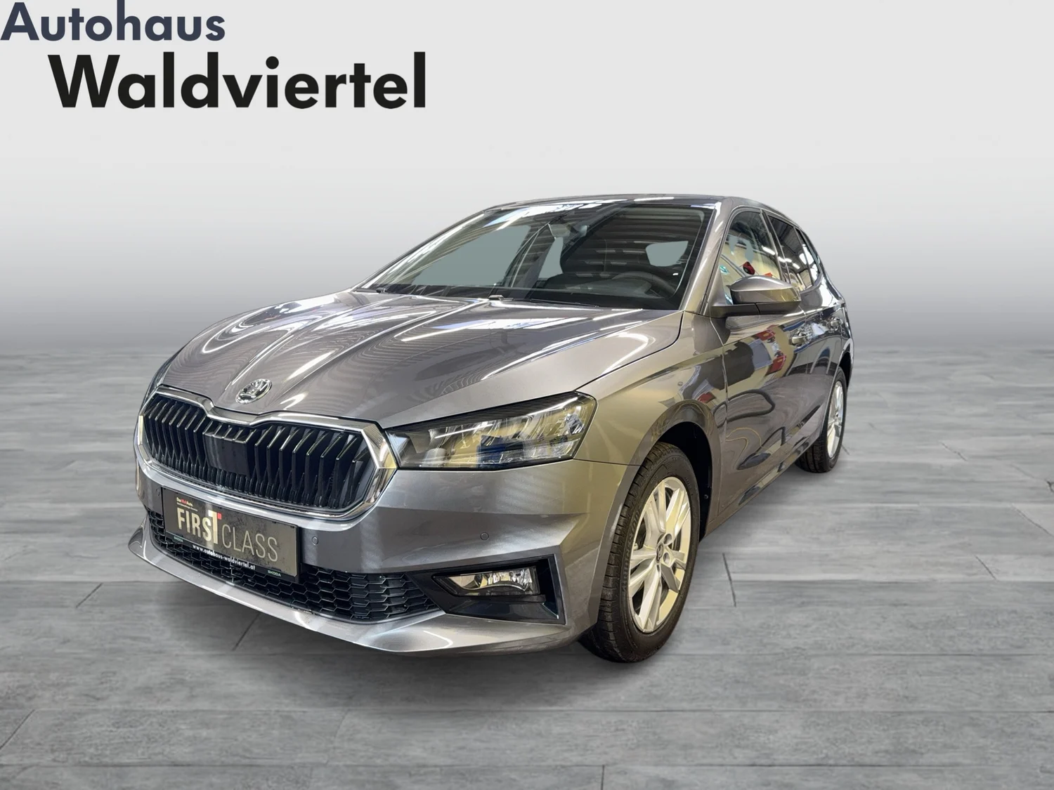 Bild eines Fabia Selection TSI