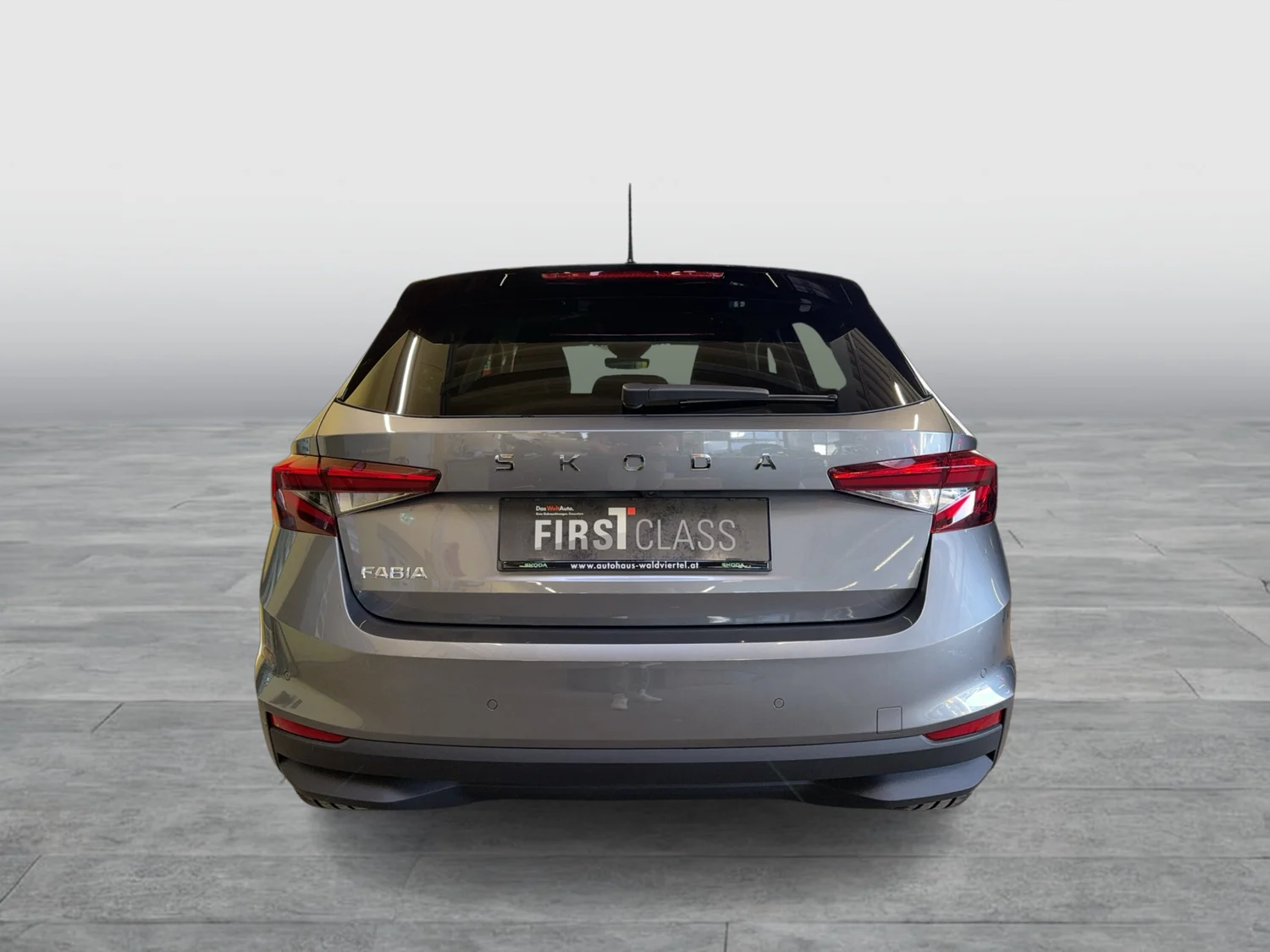 Bild eines Fabia Selection TSI