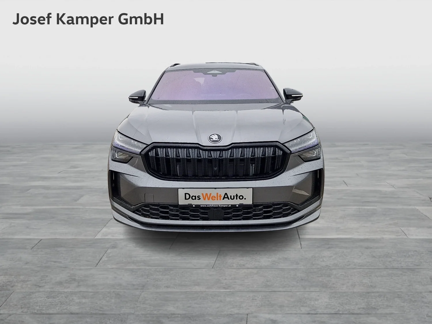 Bild eines Kodiaq 4x4 Sportline TDI DSG