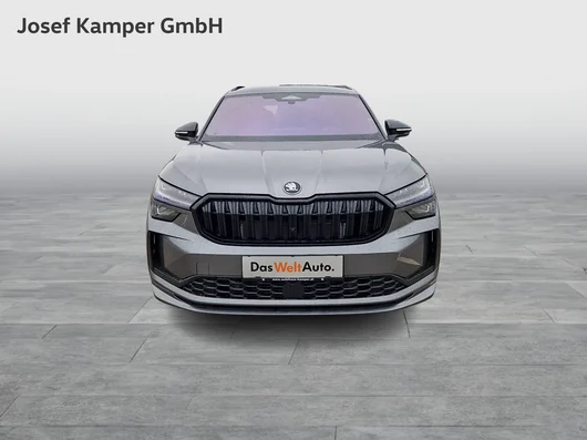 Bild eines Kodiaq 4x4 Sportline TDI DSG