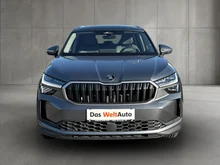 Škoda Kodiaq 4x4 Selection TDI DSG in Graphit-Grau Metallic