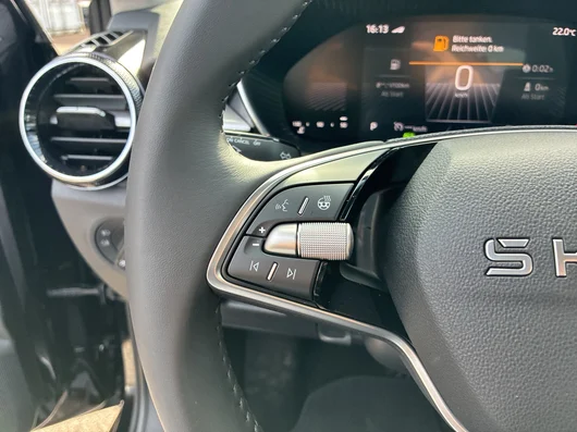 Bild eines Škoda Fabia Selection TSI DSG