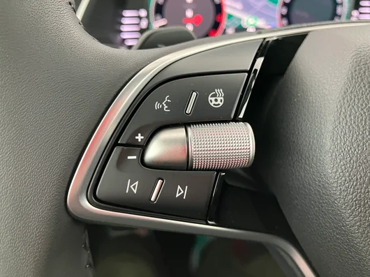 Bild eines Škoda Octavia Combi Selection TSI mHEV DSG