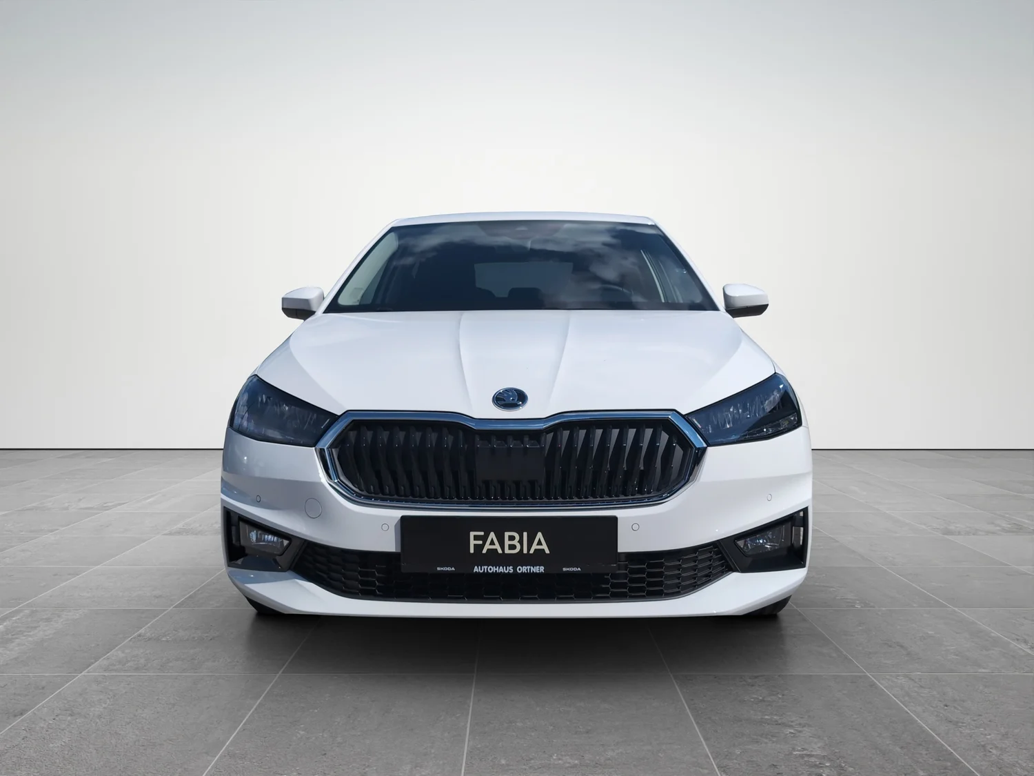 Bild eines Fabia Selection TSI