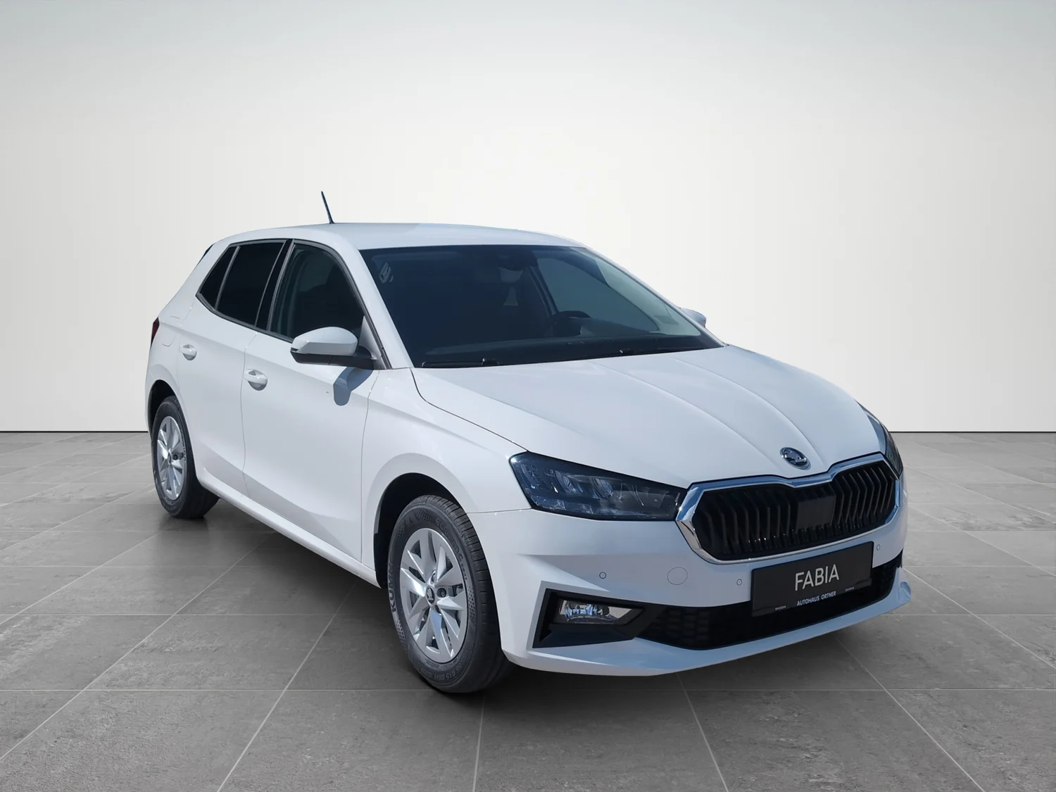 Bild eines Fabia Selection TSI