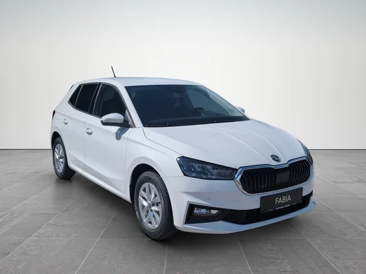 Bild eines Fabia Selection TSI