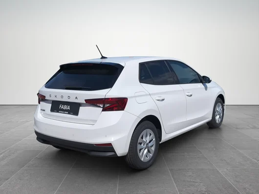 Bild eines Fabia Selection TSI