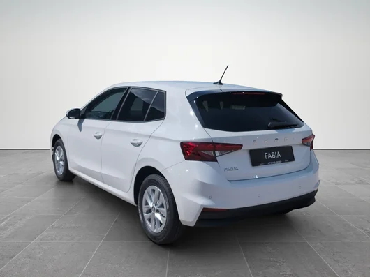 Bild eines Fabia Selection TSI
