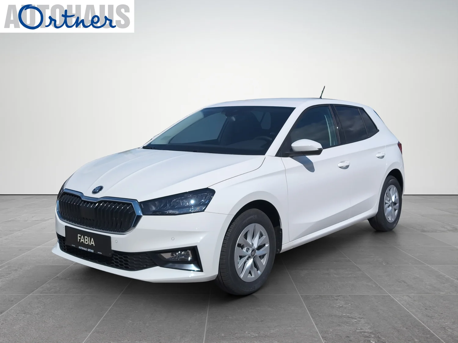 Bild eines Fabia Selection TSI