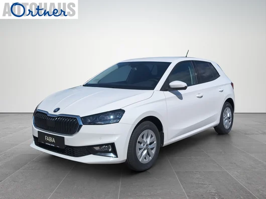 Bild eines Fabia Selection TSI