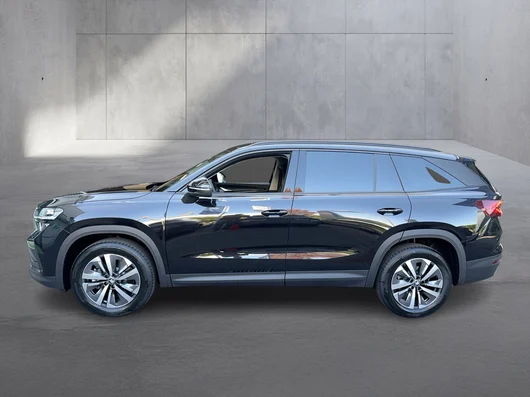 Bild eines Škoda Kodiaq Selection TSI mHEV DSG