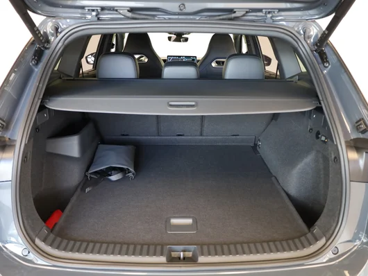 Bild eines Tayron Sport TDI 4MOTION DSG