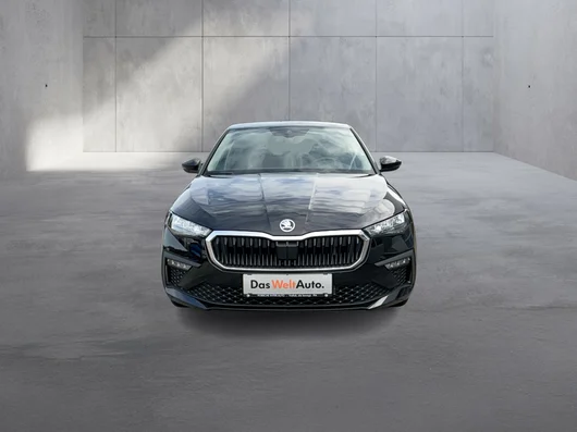 Bild eines Škoda Scala Selection TSI