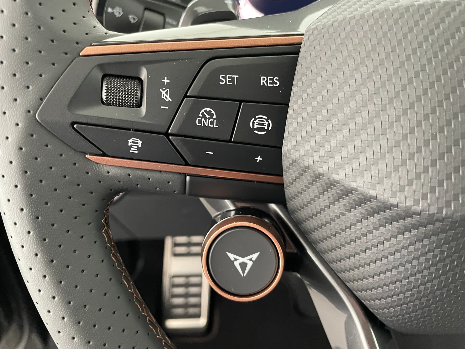 Bild eines CUPRA Terramar 2.0 TSI 204 PS DSG 4Drive