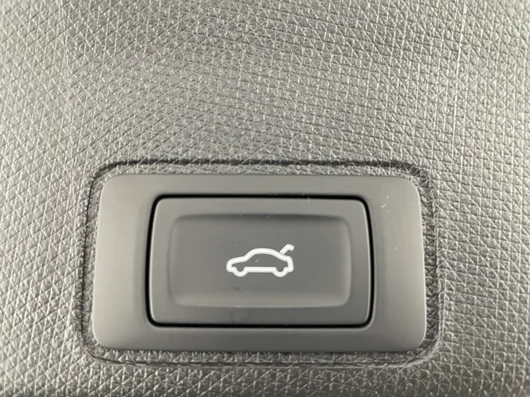 Bild eines CUPRA Terramar 2.0 TSI 204 PS DSG 4Drive