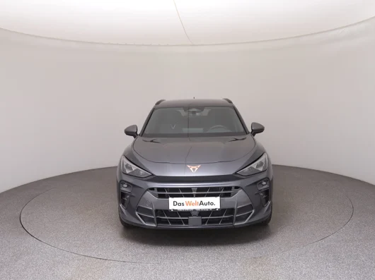 Bild eines CUPRA Terramar 2.0 TSI 204 PS DSG 4Drive