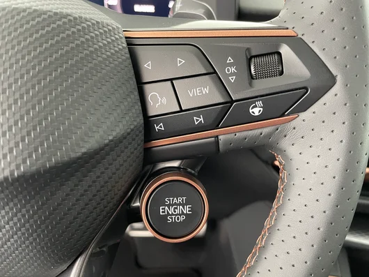 Bild eines CUPRA Terramar 2.0 TSI 204 PS DSG 4Drive