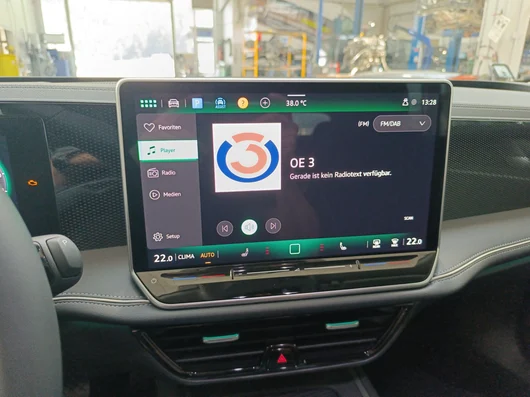 Bild eines Passat Variant Business TDI 4MOTION DSG