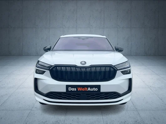 Bild eines Kodiaq Sportline TSI mHEV DSG