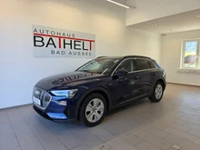 Audi e-tron 50 quattro 230 kW Business in Navarrablau Metallic