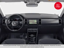 Škoda Kodiaq Ambition TDI DSG in Graphit-Grau Metallic