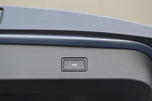 Bild eines Tavascan VZ Adrenaline 4Drive250kW/340PS