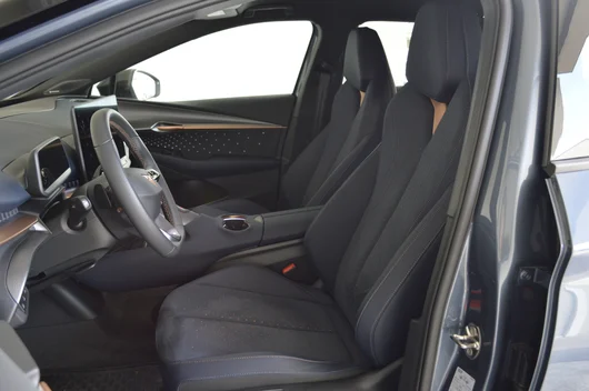 Bild eines Tavascan VZ Adrenaline 4Drive250kW/340PS