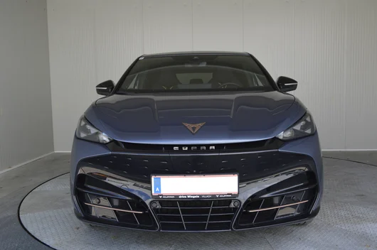 Bild eines Tavascan VZ Adrenaline 4Drive250kW/340PS