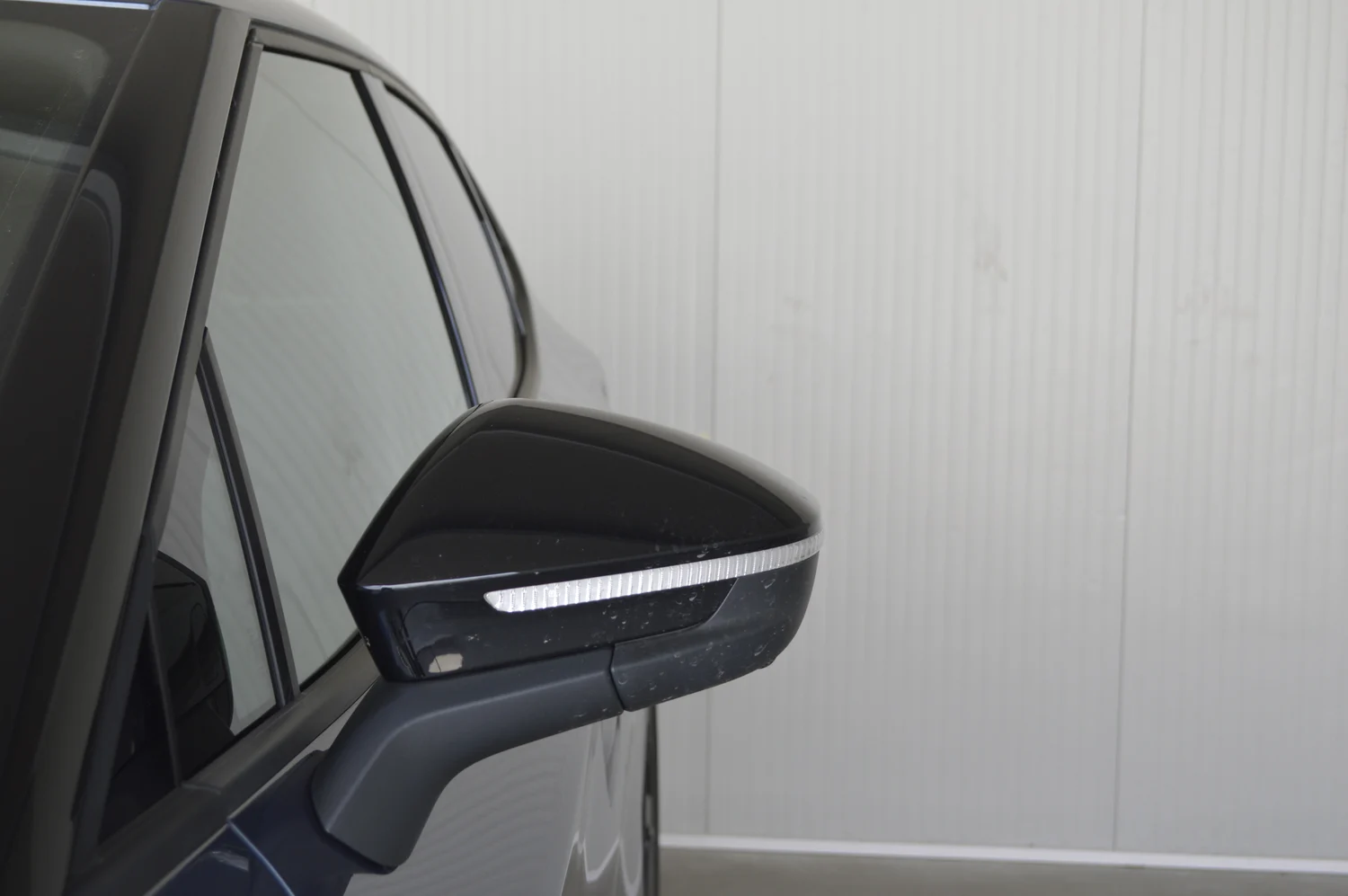 Bild eines Tavascan VZ Adrenaline 4Drive250kW/340PS