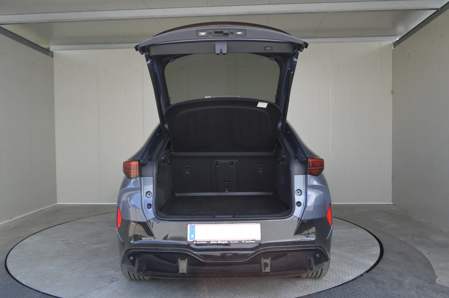 Bild eines Tavascan VZ Adrenaline 4Drive250kW/340PS