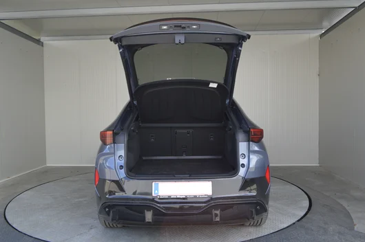 Bild eines Tavascan VZ Adrenaline 4Drive250kW/340PS