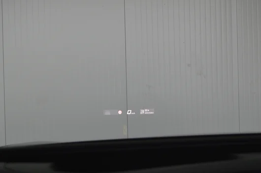 Bild eines Tavascan VZ Adrenaline 4Drive250kW/340PS