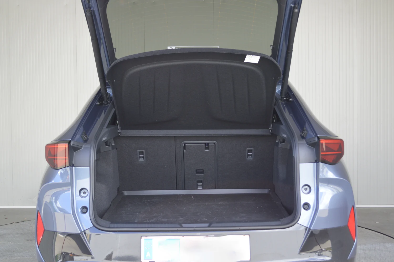 Bild eines Tavascan VZ Adrenaline 4Drive250kW/340PS