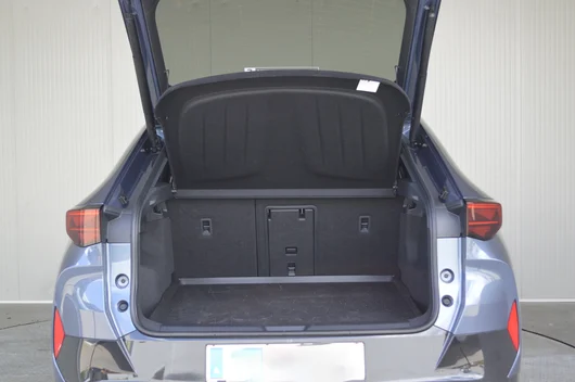 Bild eines Tavascan VZ Adrenaline 4Drive250kW/340PS